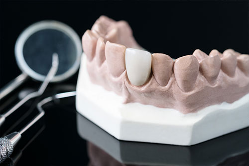 Medical & Healthcare